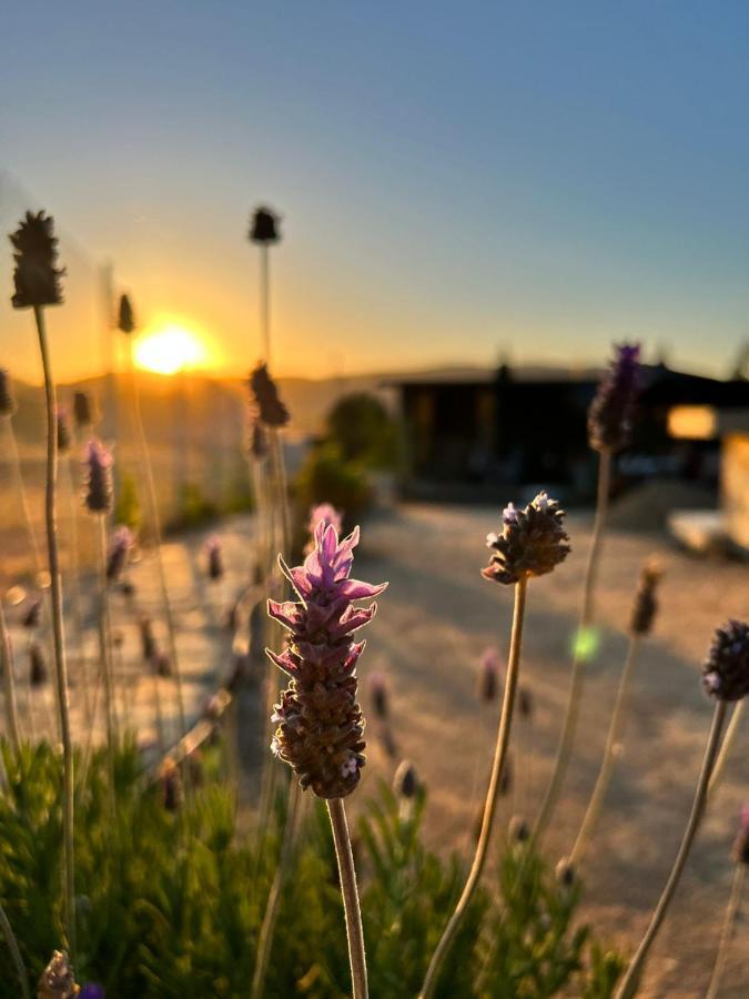 Finca Cazosa Valle de Guadalupe Zewnętrze zdjęcie