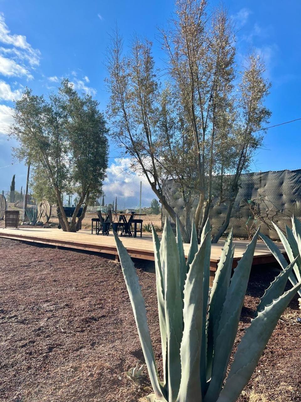 Finca Cazosa Valle de Guadalupe Zewnętrze zdjęcie
