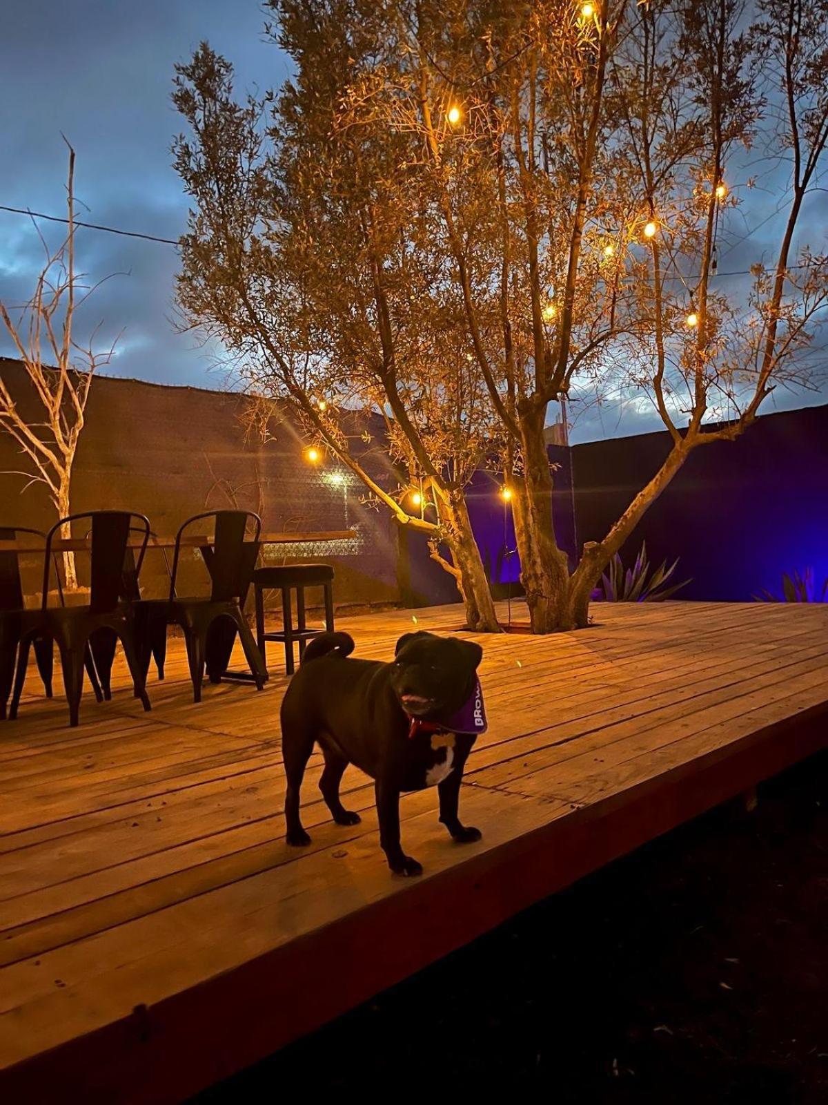 Finca Cazosa Valle de Guadalupe Zewnętrze zdjęcie